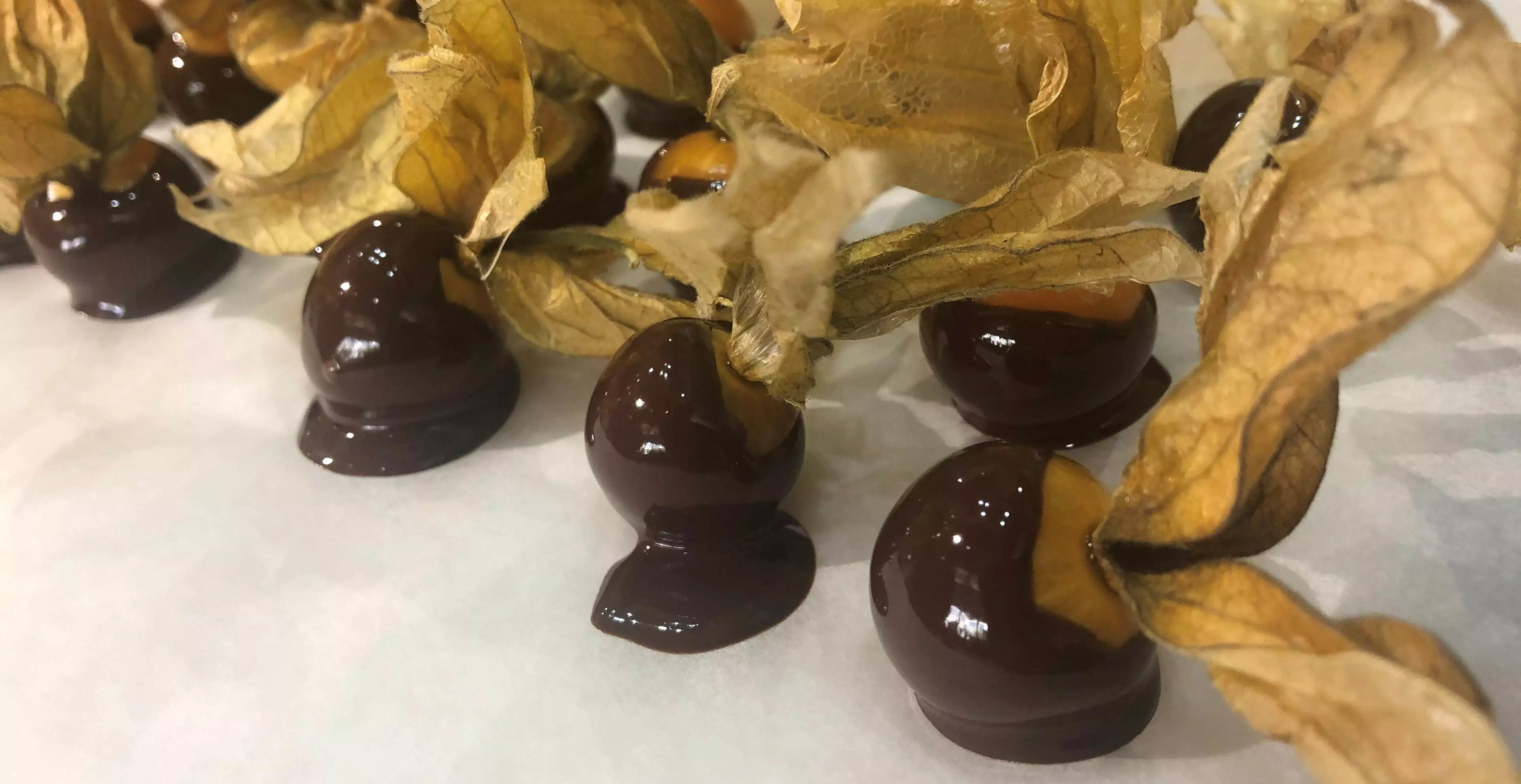 Kochkurs Marquardt Küchen