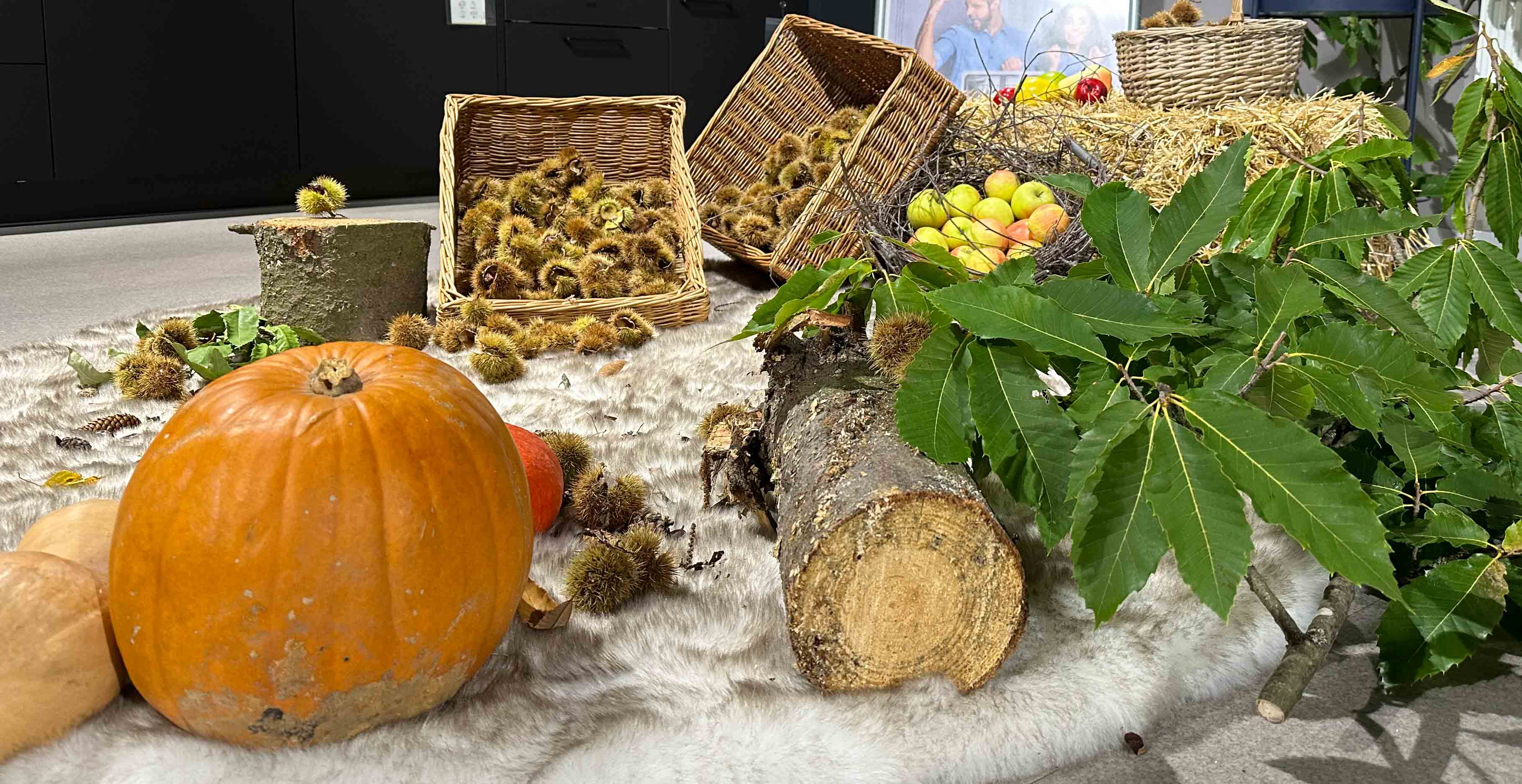 Marquardt Küchen Herbstzauber