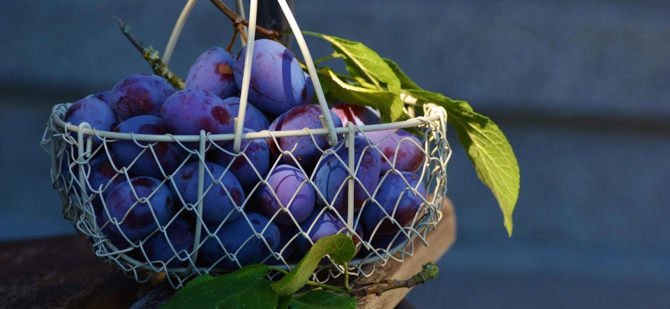 Pflaumen-Apfel-Zimt Marmelade - Marquardt Küchen