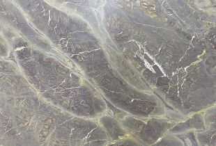 Naturstein Vitoria Regia