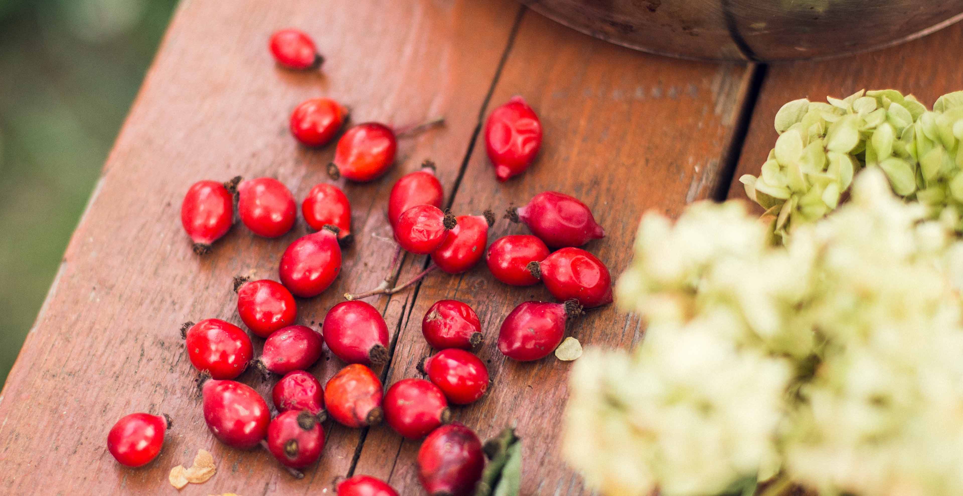 Rezept für Hagebutten-Marmelade | Marquardt Küchen